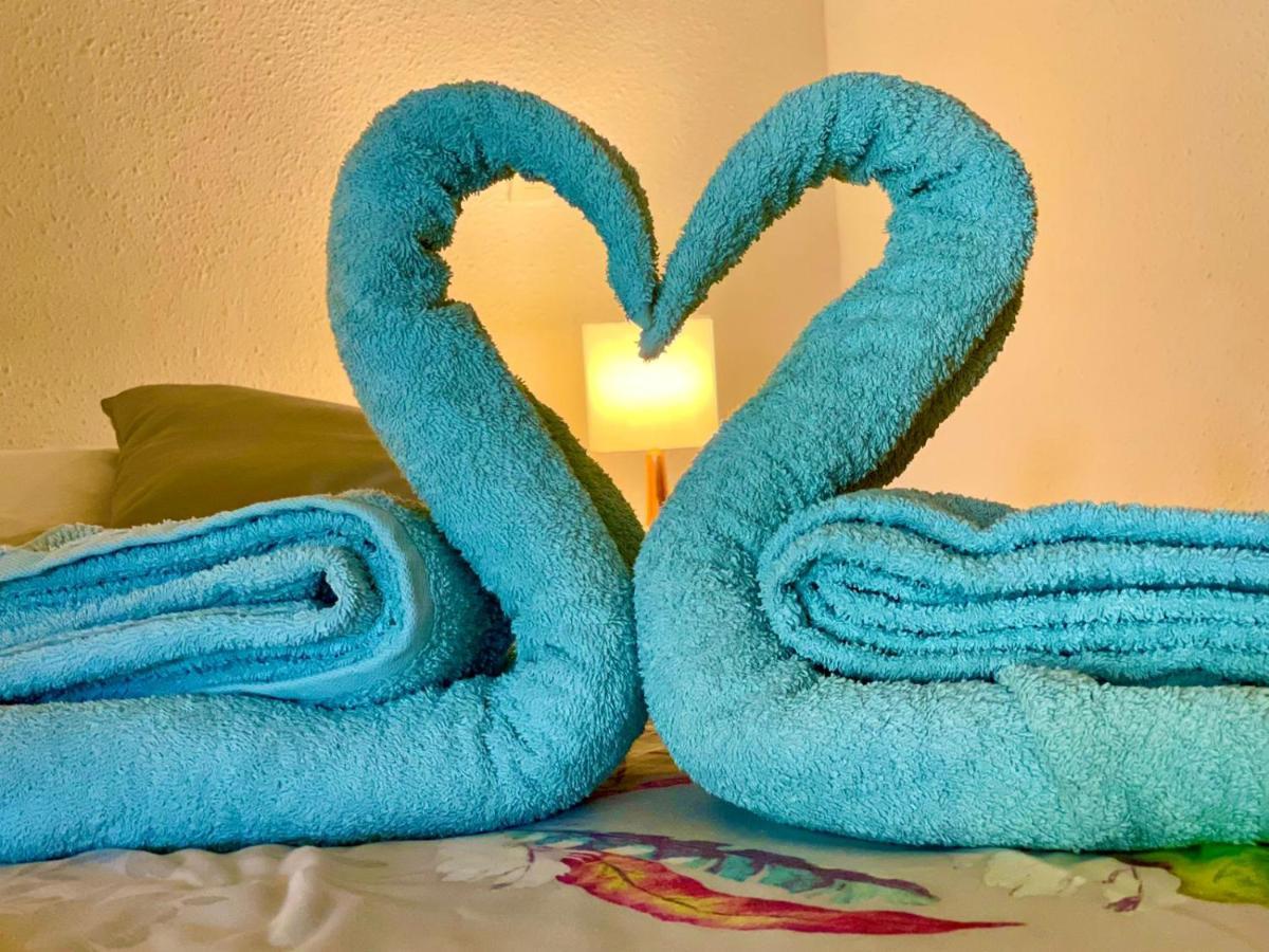 La Playa - L'Appartement Cozy - 2 A 5 Personnes Sainte-Anne  Kültér fotó